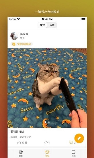 真命天喵 宠物交易平台