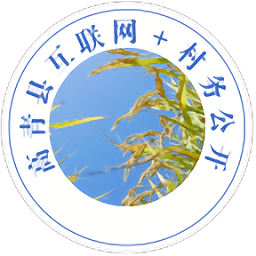 高青縣互聯(lián)網(wǎng)十村務(wù)公開平臺(tái)
