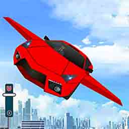 空中護(hù)衛(wèi)隊(duì)