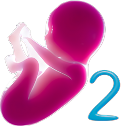 婴儿模拟器2免费版