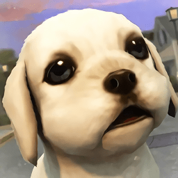 超級小汪大闖關