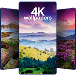 美麗的壁紙4k phone版