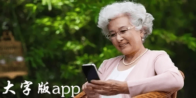 大字版軟件
