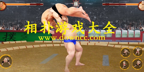 雙人相撲游戲下載-團隊相撲游戲-相撲游戲大全