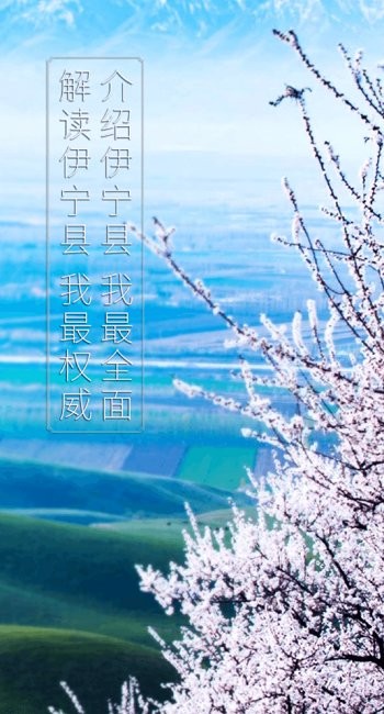 杏鄉(xiāng)好地方app0