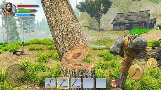 荒島余生3d中文版 v1.0 安卓版 4