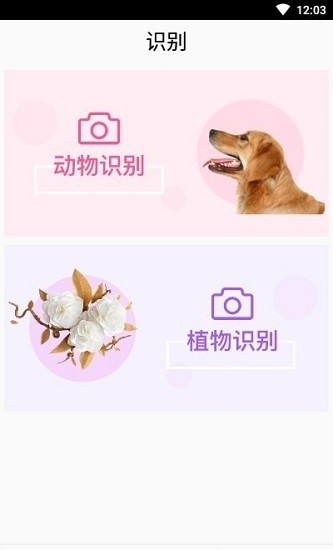 靈通植物識別官方版 v1.2 安卓版 0