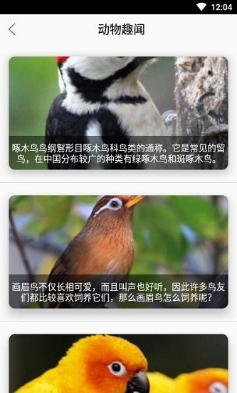 靈通植物識別官方版 v1.2 安卓版 2