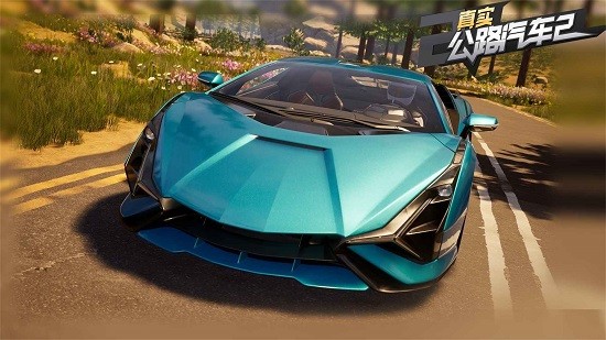 真實公路汽車2游戲0
