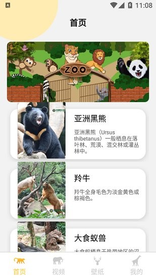 可愛動物壁紙大全app v1.0 安卓版 0