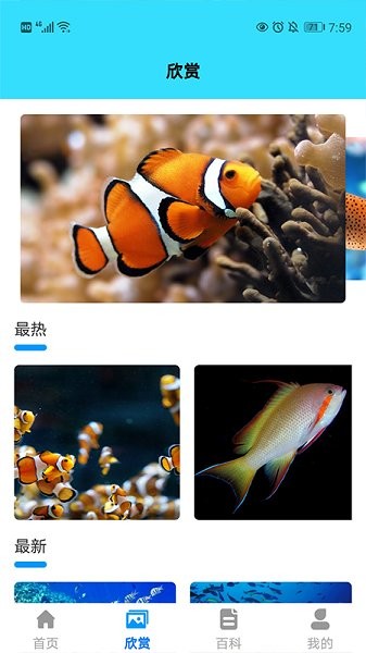 我愛養(yǎng)魚 v1.1 安卓版 0