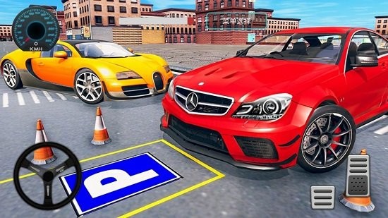 駕?？瓶寄M器免費版 v1.0 安卓版 0