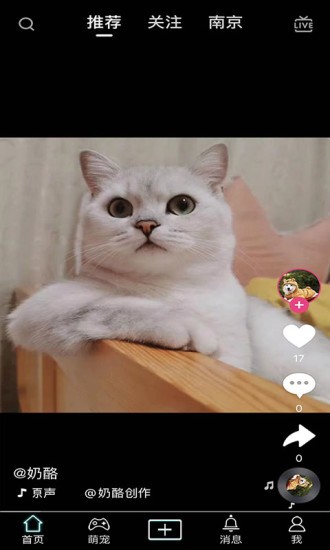 抖寵app最新版 v1.28 安卓版 0