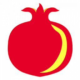 石榴云診官方版