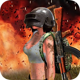 火线战地精英游戏