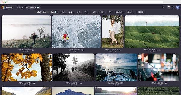 歐奧pichome 歐奧pichome下載