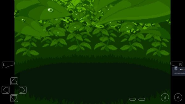 口袋妖怪究極綠寶石4血皇提供版 v1.0 安卓內(nèi)置作弊器版 2