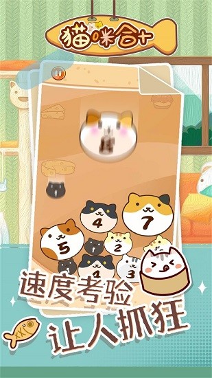 貓咪合十手游 v1.0 安卓版 1
