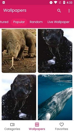 鯨魚壁紙app(Whale Wallpaper) v4.0.0 安卓版 1