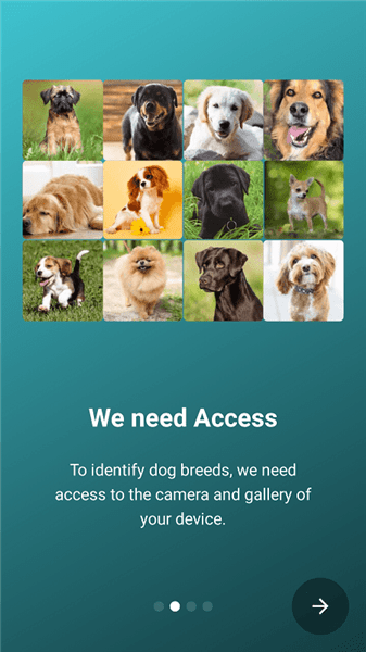 狗狗鑒定器app v17.2.1-G 安卓版 2