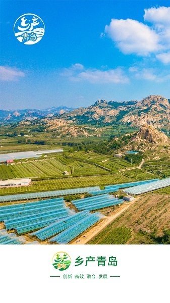 鄉(xiāng)產青島 v1.0.14 安卓版 0