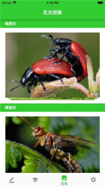 蟲筆軟件 v1.1 安卓版 1