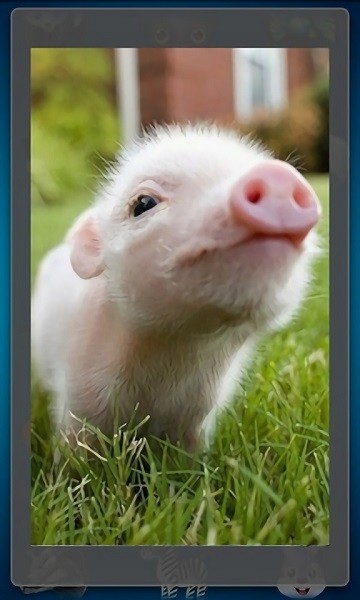 趣味動物發(fā)聲游戲 v2.8 安卓版 0