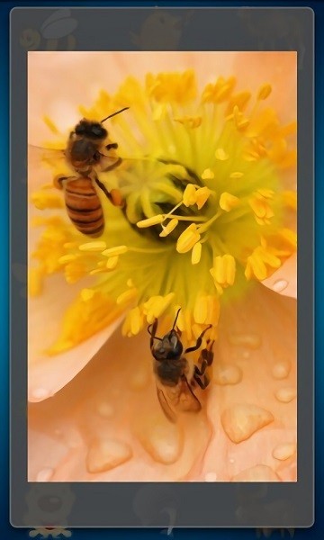 趣味動物發(fā)聲游戲 v2.8 安卓版 3