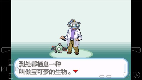 精灵宝可梦梦之红宝石