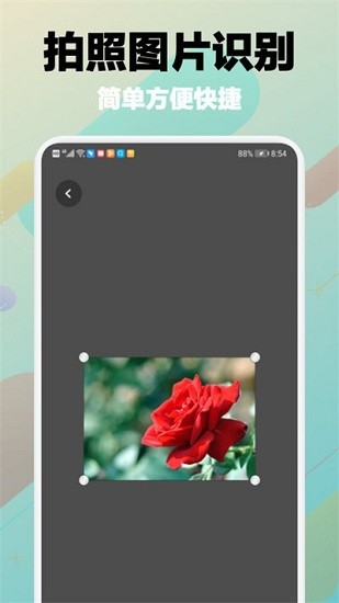 樹林記憶app 樹林記憶app下載