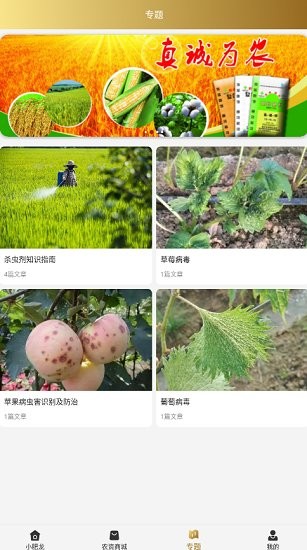 小肥龍官方版 v1.0.37 安卓版 1