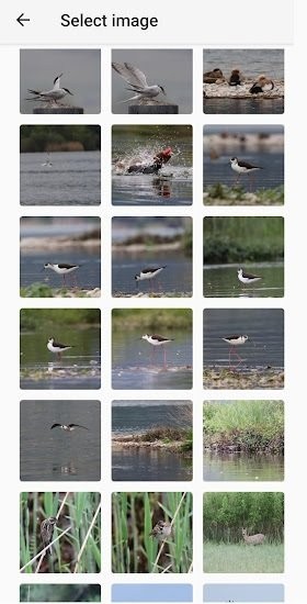 Photo Compare app photo compare 安卓下載