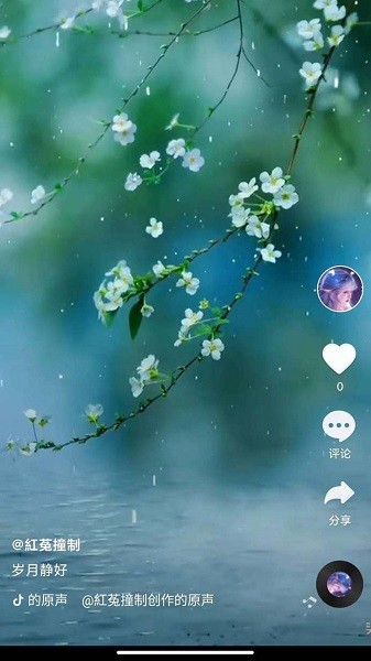 全民刷刷手機(jī)版 v1.0 最新版 0