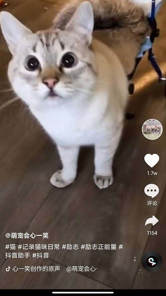 全民刷刷手機(jī)版 v1.0 最新版 2