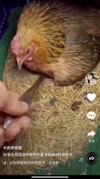 全民刷刷手機(jī)版 v1.0 最新版 3