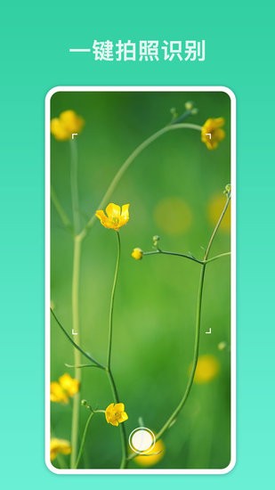 萬能識(shí)別 萬能識(shí)別app下載