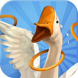 我用圈圈摟大鵝手游