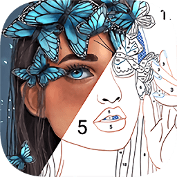 按數(shù)字著色(Color by Number)