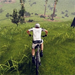 山地賽車模擬器