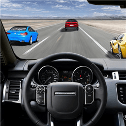 單機(jī)狂野賽車游戲