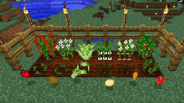 像素方塊王者 v1.0 安卓版 0