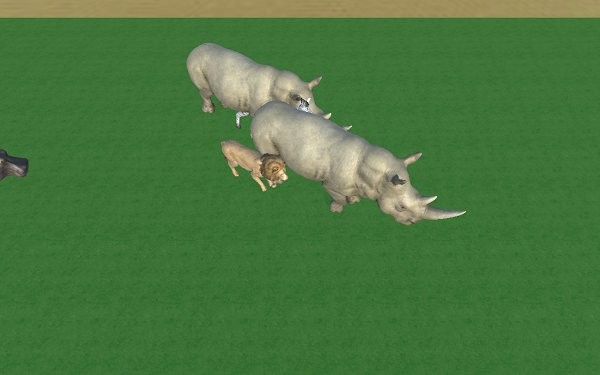 zhsl召喚神龍3d版 v1.0 安卓版 0