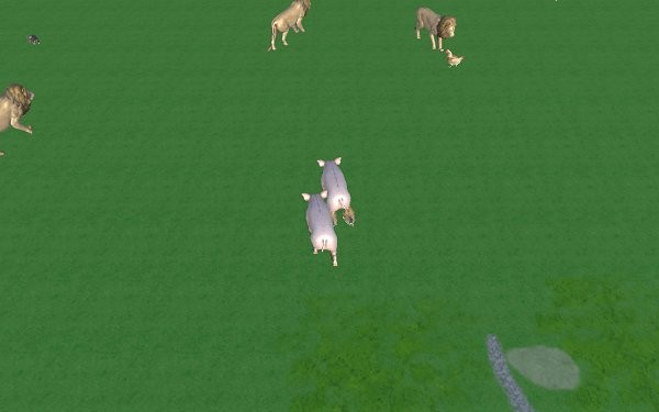 zhsl召喚神龍3d版 v1.0 安卓版 3