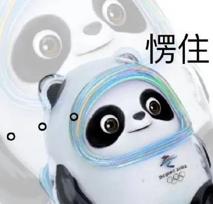 雪容融冰墩墩表情包 高清圖片版 2