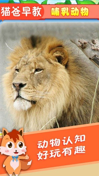 寶寶兒童動物世界手機版3