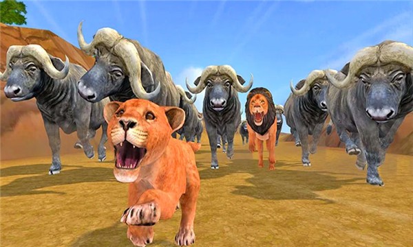 獅子捕獵戰(zhàn)場