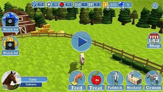 真實(shí)馬術(shù)世界3d(Horse Jumping 3D) v0.5 安卓版 1
