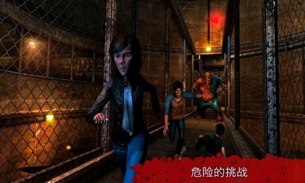 恐怖奶奶冒險手游 v1.1 安卓版 0