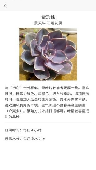 多肉大戰(zhàn)軟件 v1.1 安卓版 1