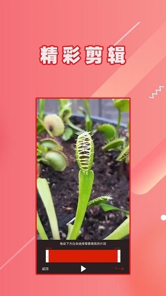 視頻倒放軟件 v1.1.7 安卓版 3